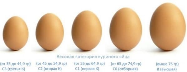 Масса яиц в граммах по категориям