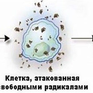 Реперфузионный синдром, методы профилактики и лечения вторичного повреждения тканей при ишемии