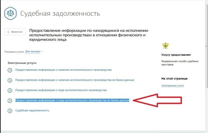 Как проверить ход исполнительного производства без визита к судебному приставу-исполнителю Судебный пристав, задолженность, исполнительное производство, судебный пристав-исполнитель, запрет на выезд, длинная почта, консультация, государственные услуги