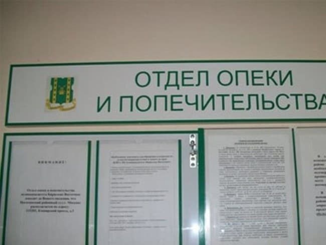 Как успешно обвинить органы опеки: три способа подачи жалобы