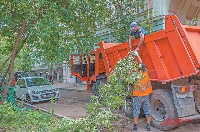 Сотрудники ГБУ 