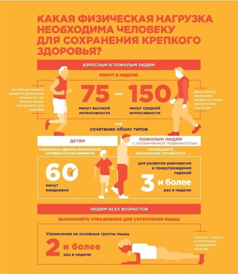 Рабочее время и физические нагрузки